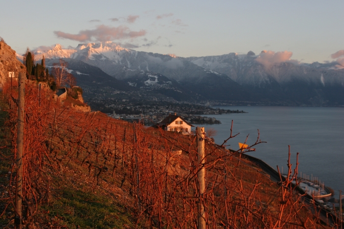 Depuis vignes Corseaux - 058